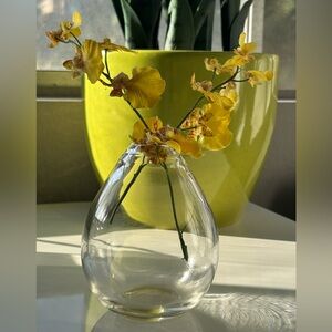 Hysteria of France-Small Teardrop Shaped Glass Vase